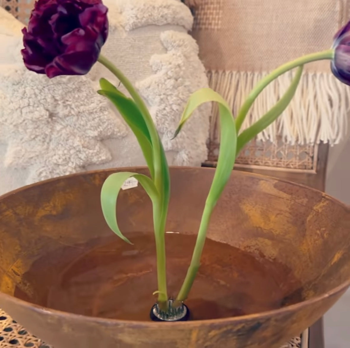 Blomsterfakir - 34 mm